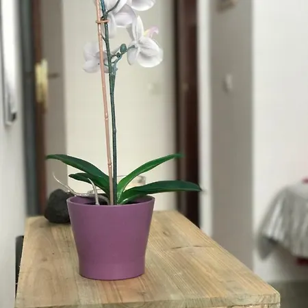 Apartamento Islote Ii 公寓